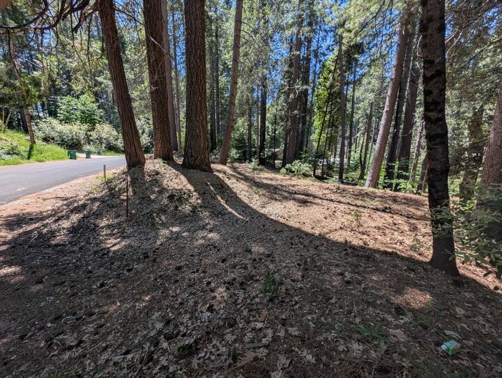 Property Photo: 16819 Pasquale Road CA 95959