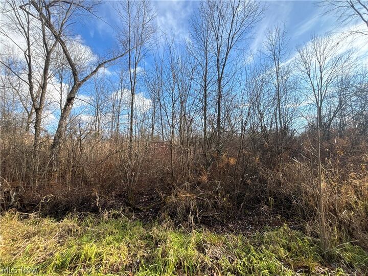 Property Photo:  10775 Bell Road  OH 44065 