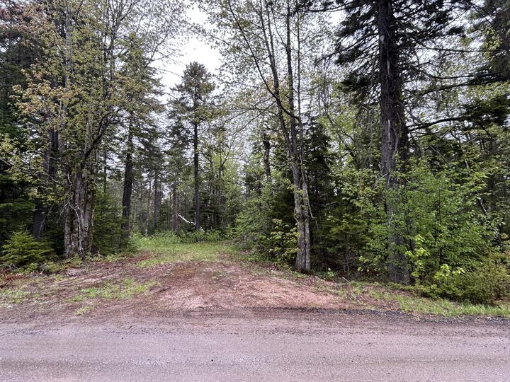Property Photo:  Lot 116 Village Road  NS B4N 3V8 