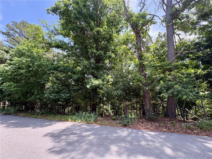 Property Photo: Lot 33,34,35 Acapulco Drive AR 72756