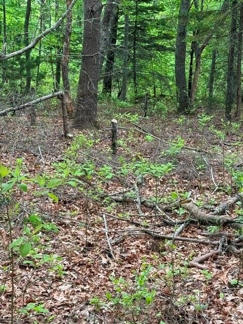 Property Photo: 12 Fallon Trail RI 02891