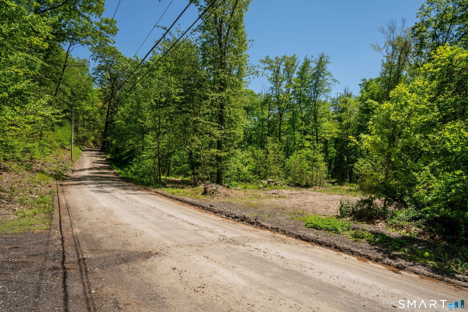 Property Photo:  47 Stagecoach Run  CT 06424 