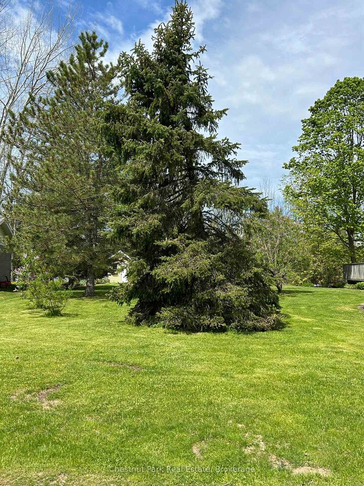 Property Photo:  13 Pollard Drive  ON N4L 1A7 