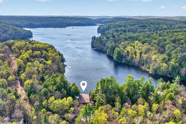 3611 Livingstone Lake Road — photo 1