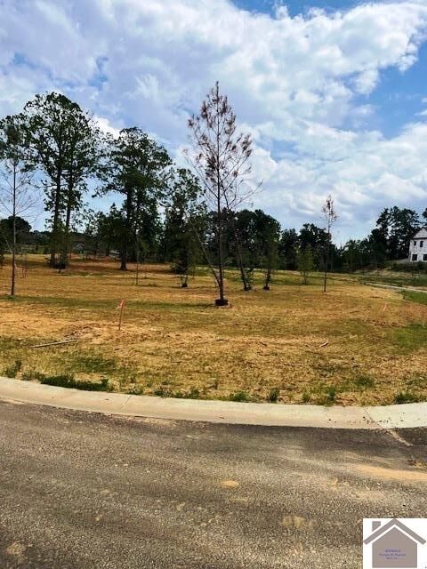 Property Photo: 225 Hidden Valley Dr KY 42003