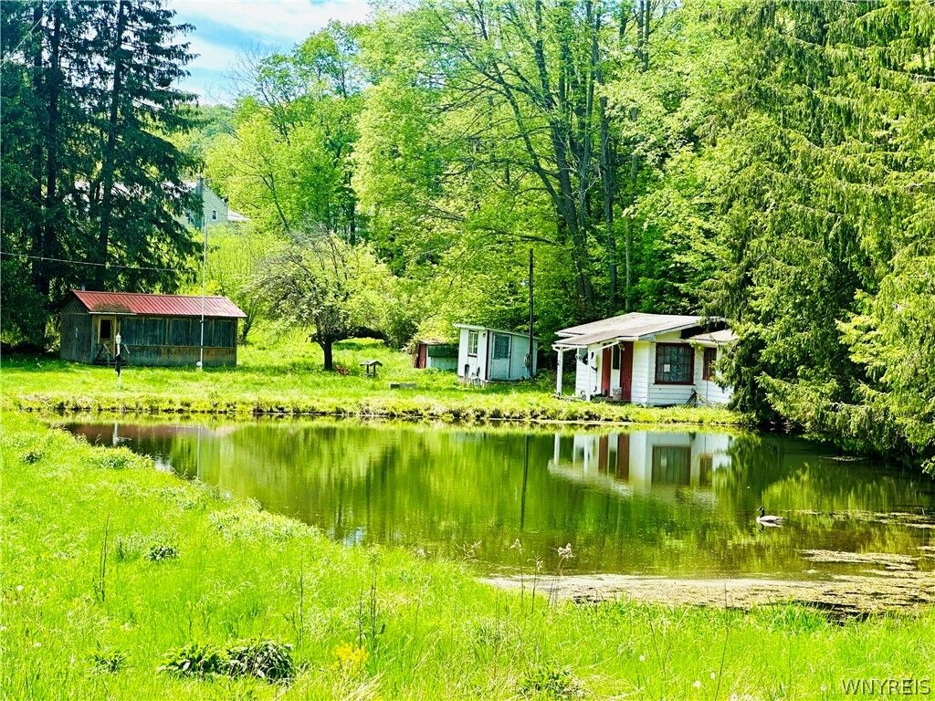 Property Photo:  9023 State Route 21  NY 14826 