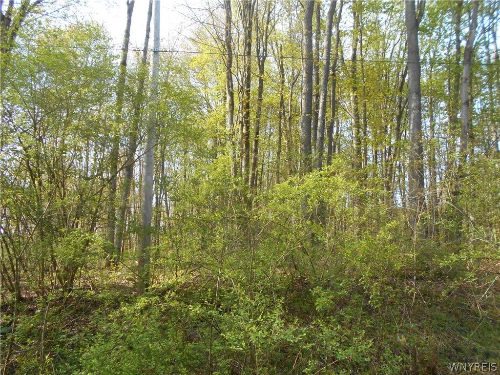 Property Photo:  0 Neamon Drive  NY 14042 