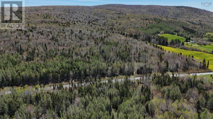 Property Photo:  Highway 252 (99ac)  NS B0E 1X0 