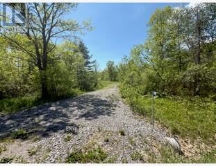 Property Photo:  6409 Stirling Marmora Road  ON K0K 2M0 