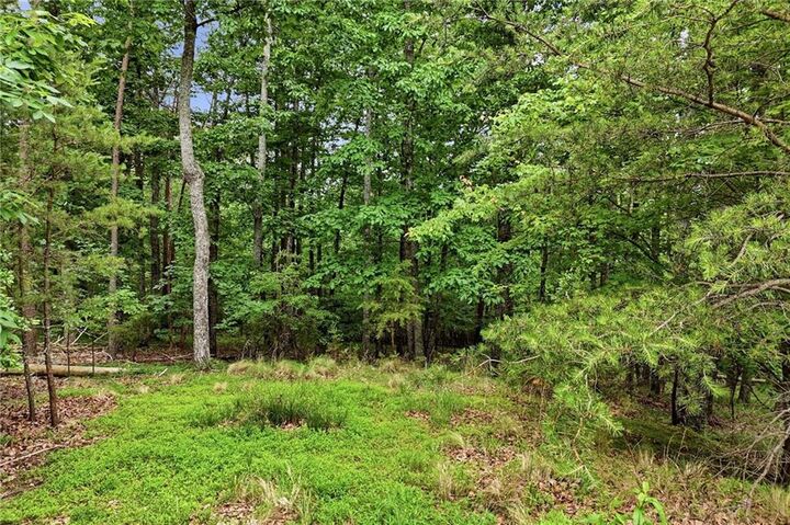 Property Photo:  0 Owl Ridge Way  GA 30143 