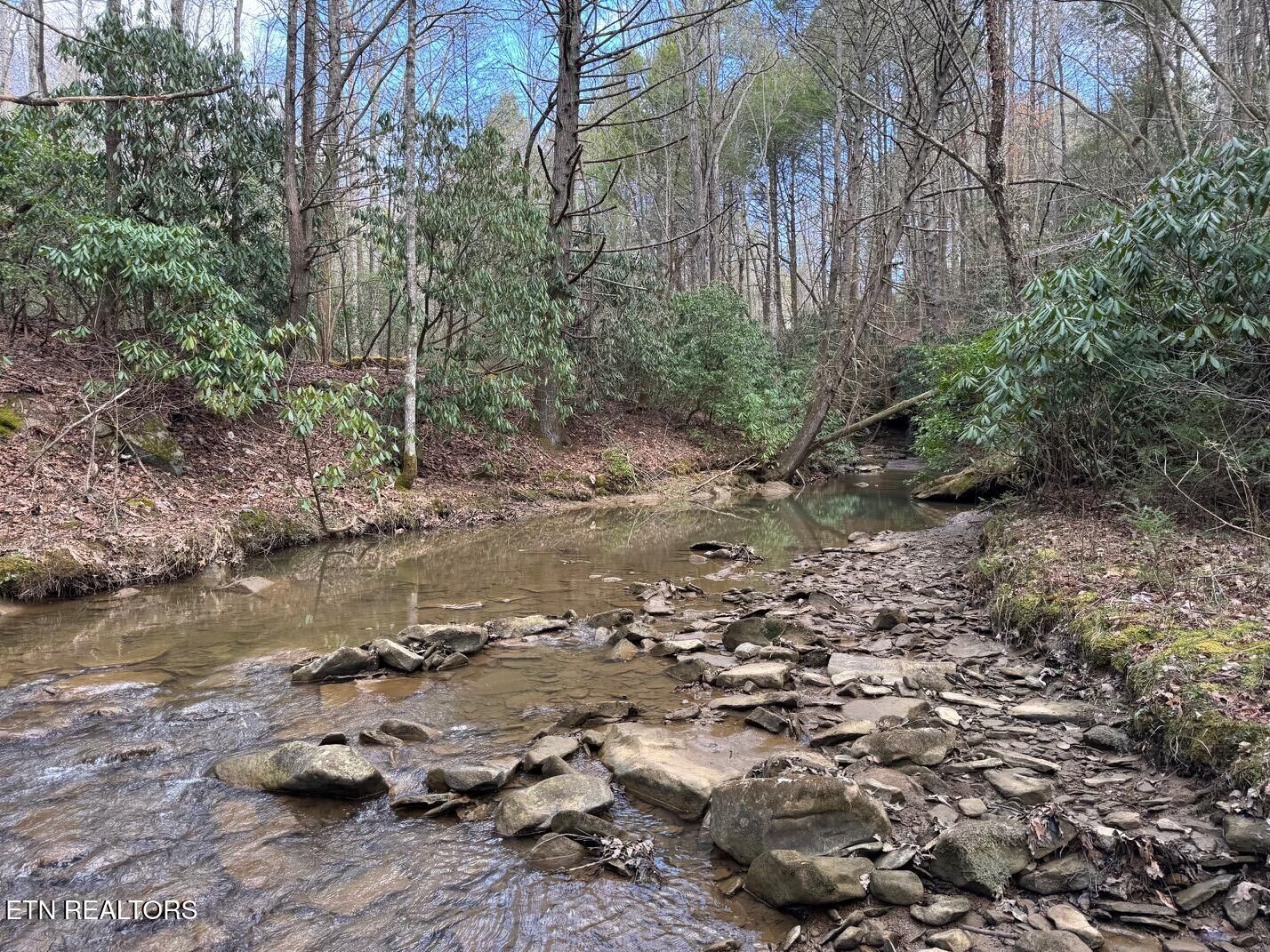 Property Photo:  0 Highway 3484  KY 40977 