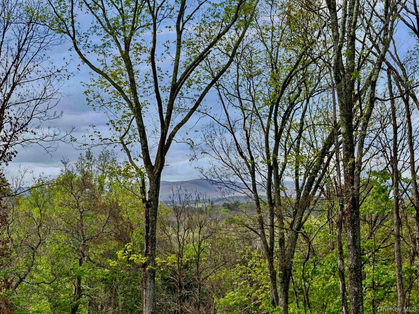 Property Photo:  Tbd Route 44/55  NY 12446 