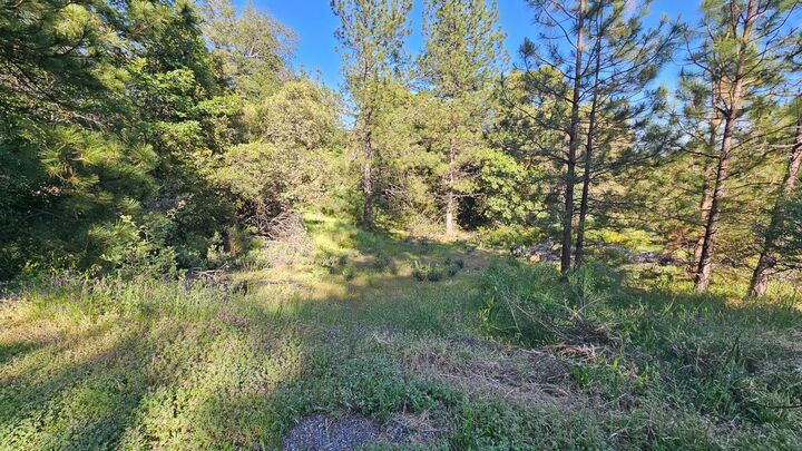 Property Photo:  0 North Canyon Way  CA 95713 