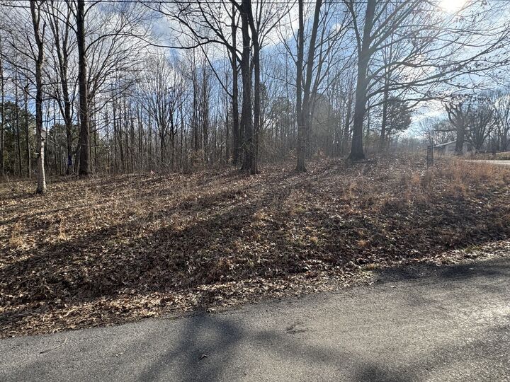 Property Photo: 0 Crestview Dr TN 37028