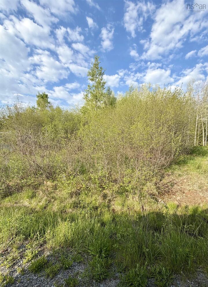 Property Photo:  Lot 19 Belair Drive  NS B0V 1A0 