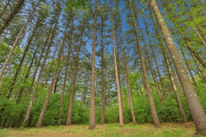 Property Photo:  350 Blue Spruce Lane  WI 54025 