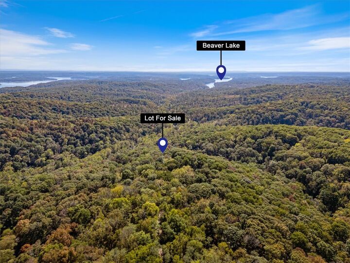 Property Photo:  Lot 265 Aster Drive  AR 72756 