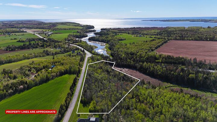 5 Acres Newtown Road — photo 1