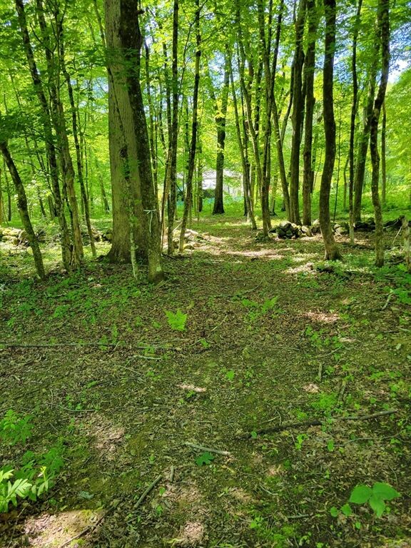 Property Photo:  Lot 7 Daniels Rd  MA 01507 