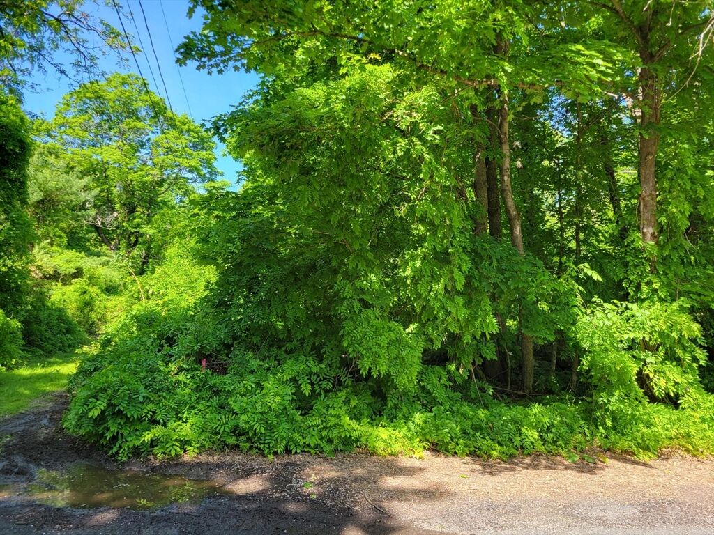Property Photo:  Lot 6 Daniels Rd  MA 01507 