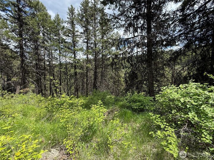 Property Photo:  0 Lot 131  Slippery Hill Road  WA 99166 