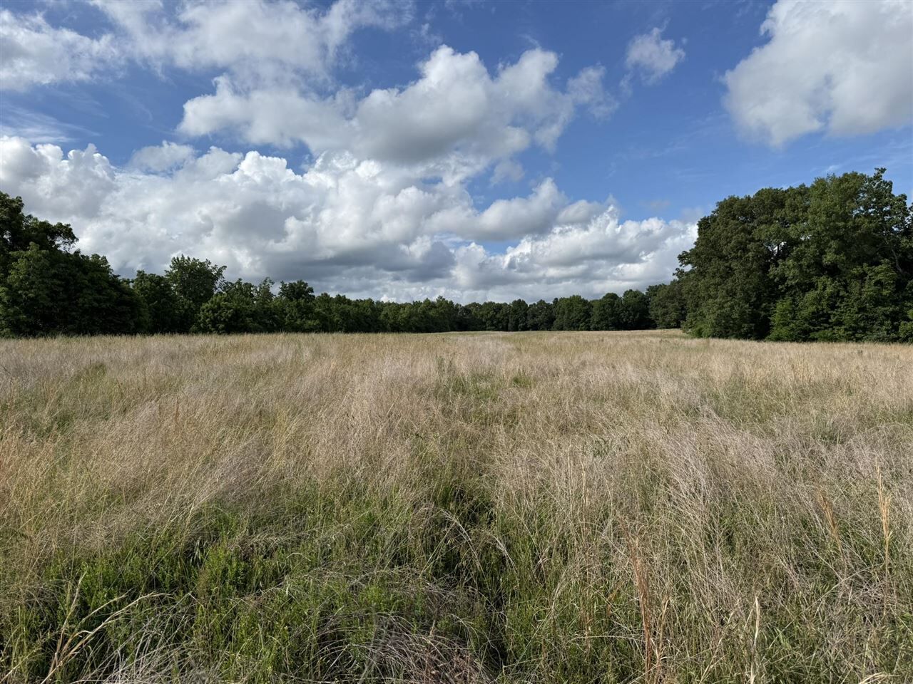 Property Photo:  0 Roseburg Road  KY 42729 