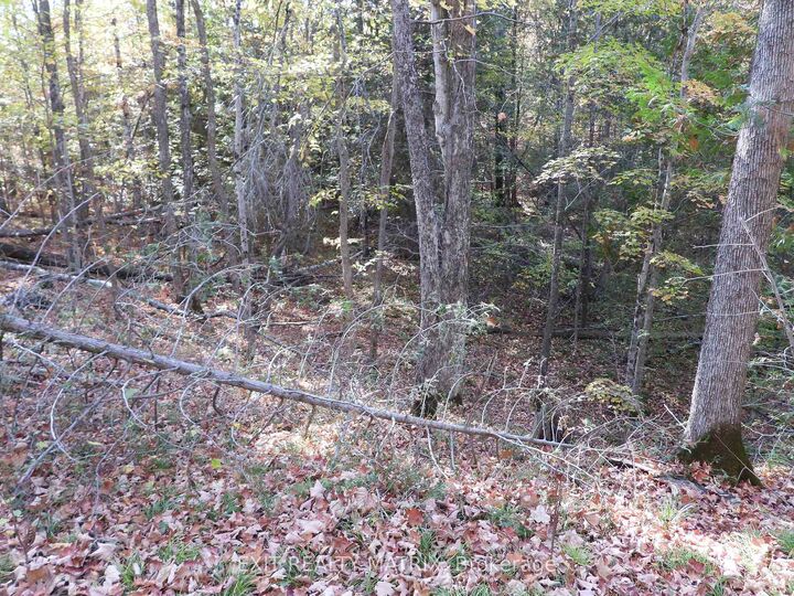 Property Photo:  Lot 1 Woodland Park Drive  ON K0H 1B0 
