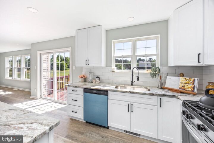 Property Photo:  29045 Redfox Drive  MD 21801 