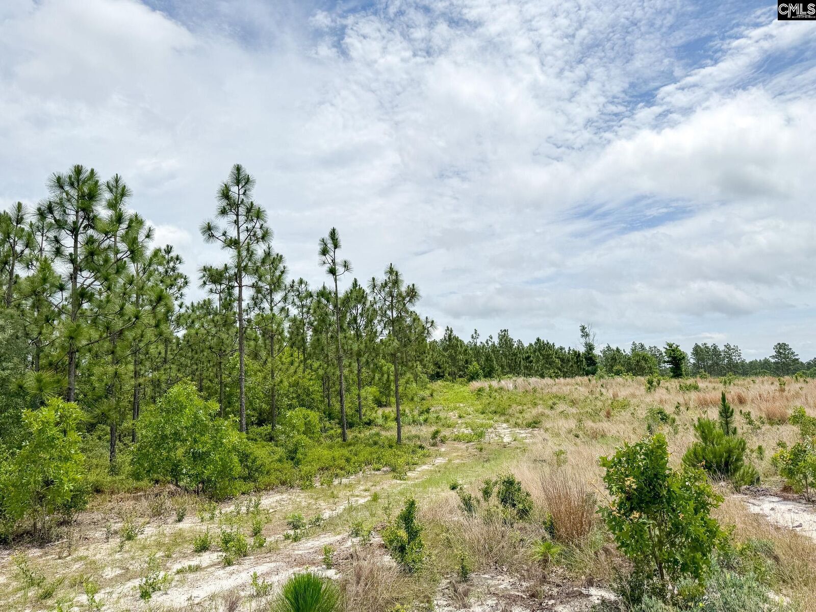 Property Photo:  0 Neely Wingard Lot 8  SC 29054 