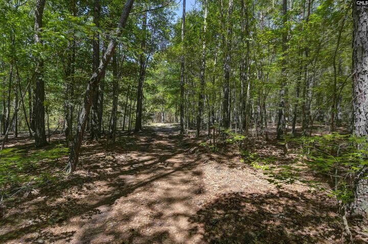 Property Photo:  Bright Myers  SC 29016 