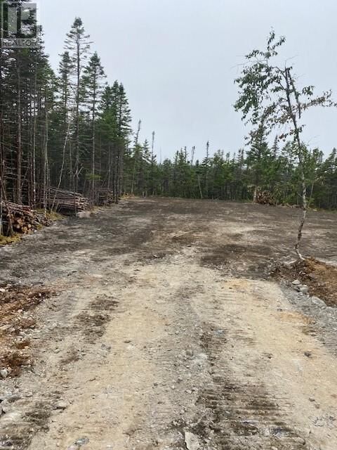 Property Photo:  154 Prison Camp Road  NL A0A 0A0 