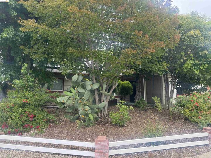 Property Photo:  2029 Highland Dr  CA 94520 