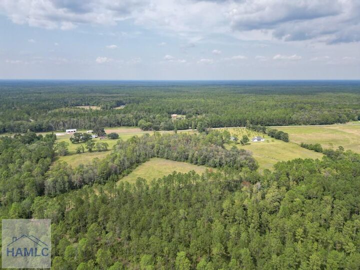 Property Photo:  15 Ac Hodges Road  GA 31313 