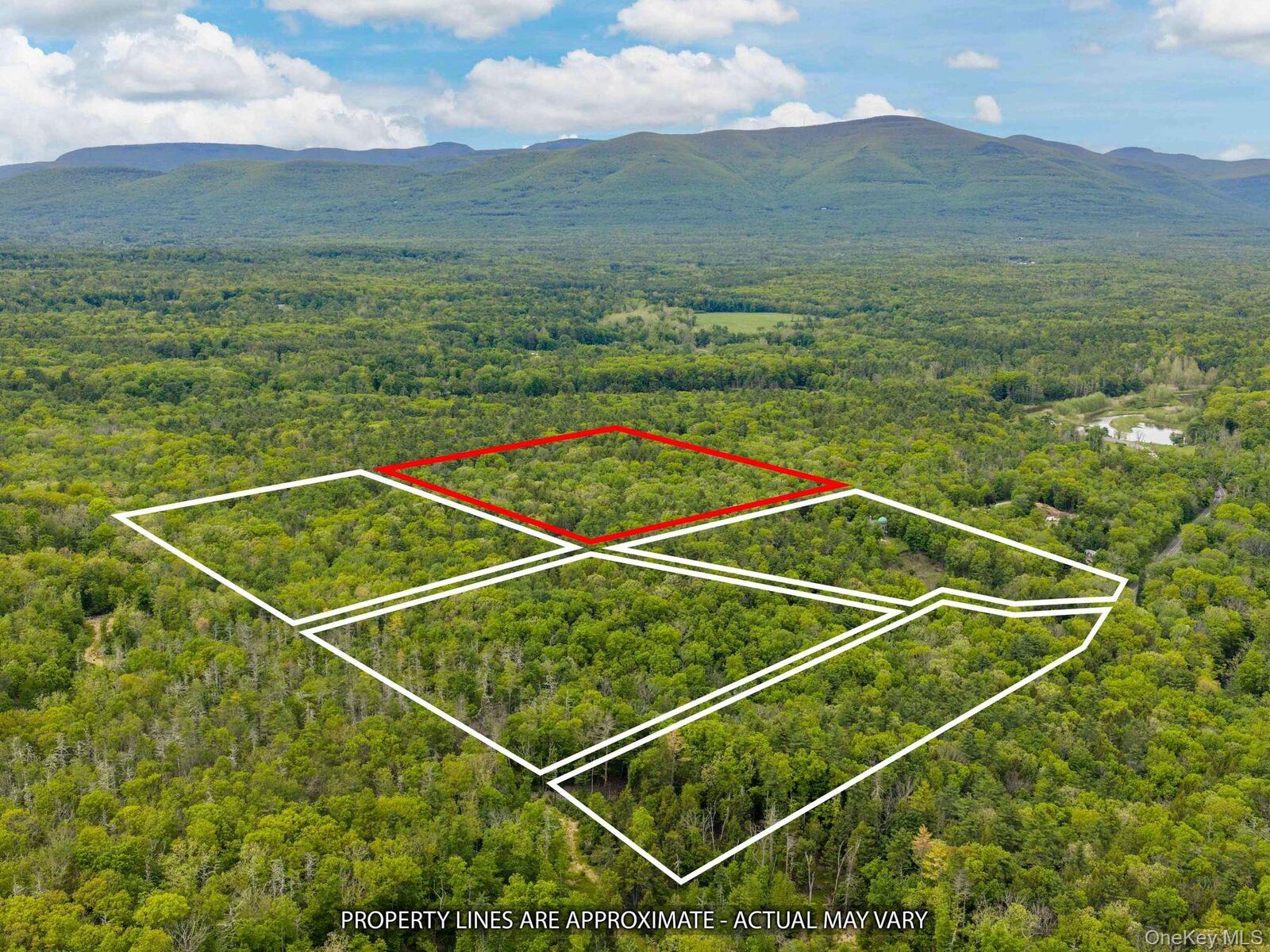 Property Photo:  40 Mamoud Hills, Lot #4 Road  NY 12401 