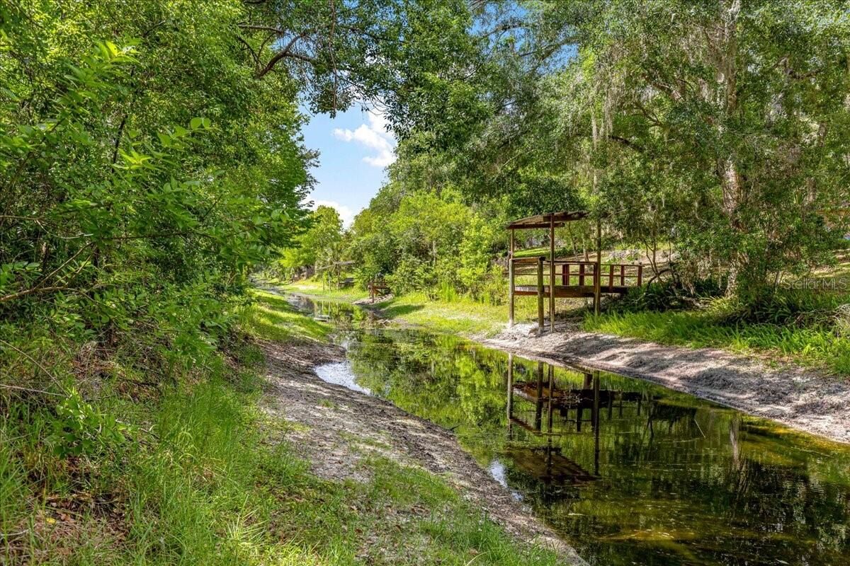 Property Photo:  2964 S Cygnet Terrace  FL 34450 