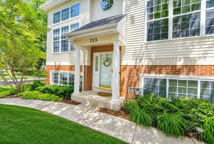 Property Photo: 733 Pheasant Trail IL 60174