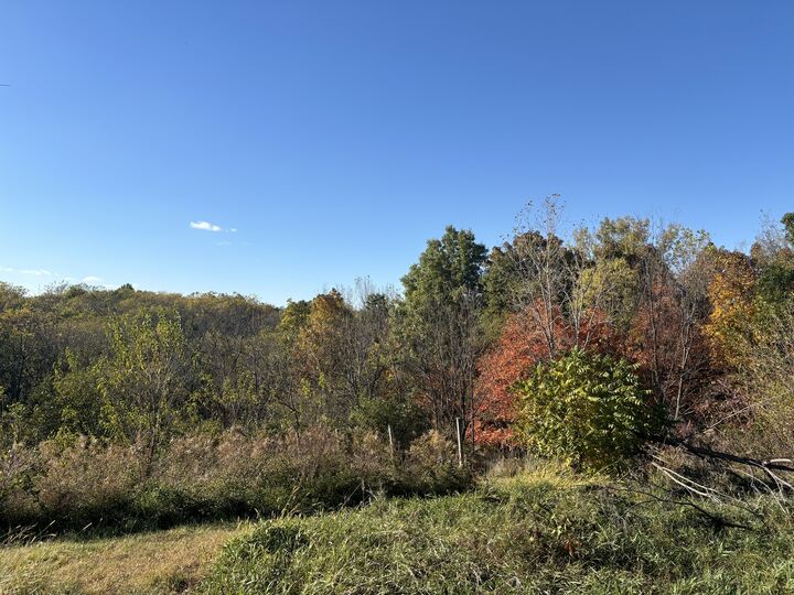 Property Photo: 2112 60th Street IL 61462