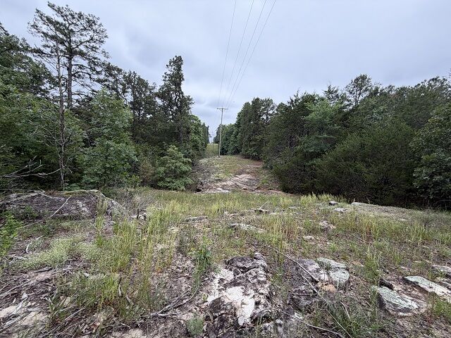 Property Photo: 1031 Old Dolph Road AR 72519