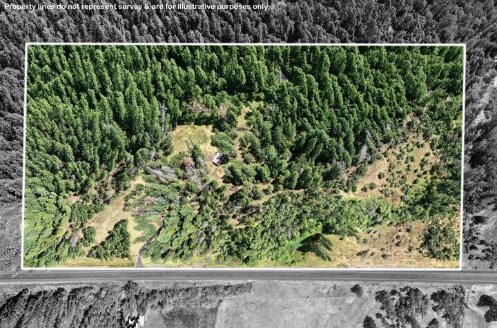 Property Photo:  42256 Highway 62  OR 97536 