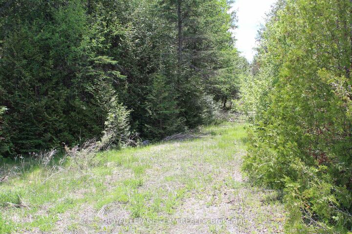 3475 Hwy 17 Highway — photo 1