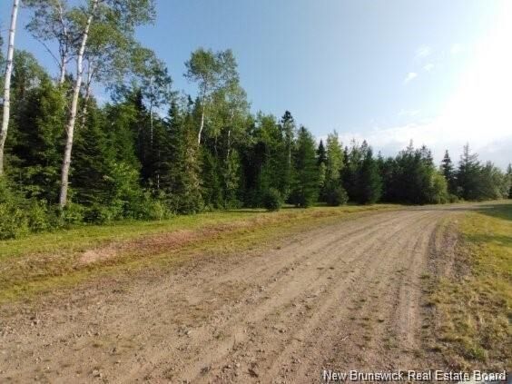 Lot-15-3 Route 134 — photo 1