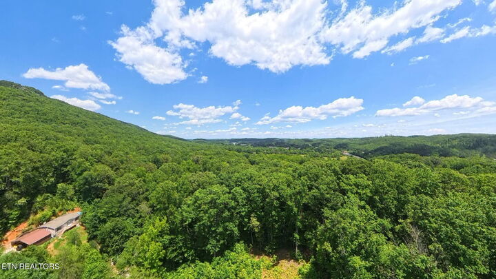 Property Photo:  195 Sherwood Lane  TN 37748 