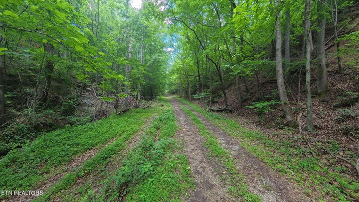 Property Photo: 195 Sherwood Lane TN 37748