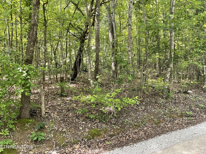 Property Photo:  Anna Laura Lane  TN 37854 