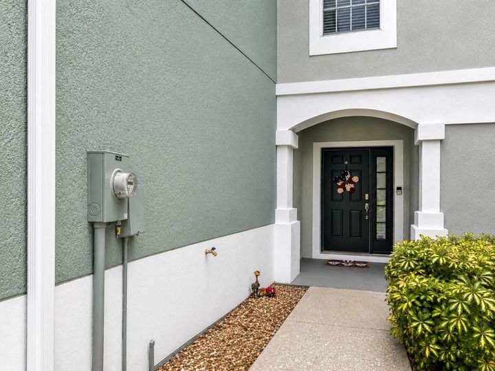 Property Photo:  10137 Pink Palmata Court  FL 33578 