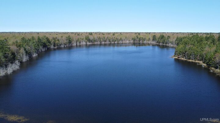 Property Photo:  Off Adams Trail Road  MI 49884 