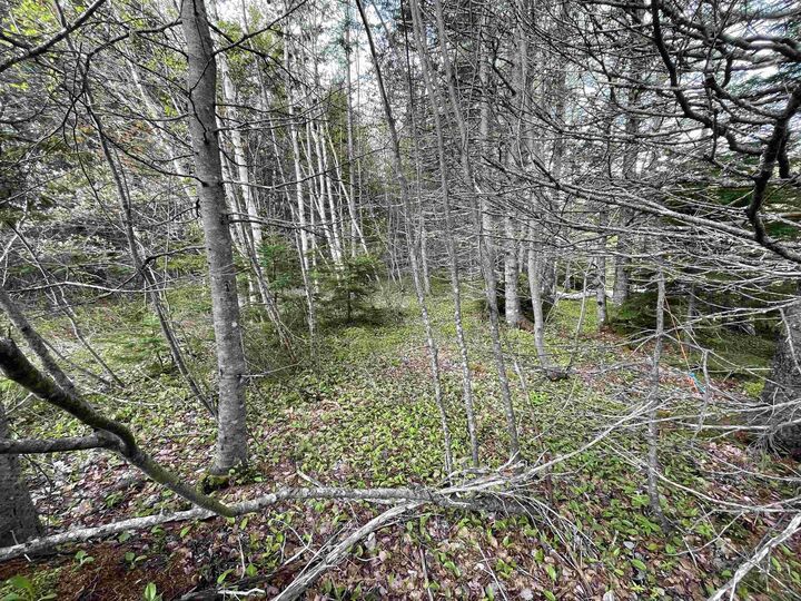 Property Photo:  Lot 1A Eskasoni Road  NS B1J 1C2 