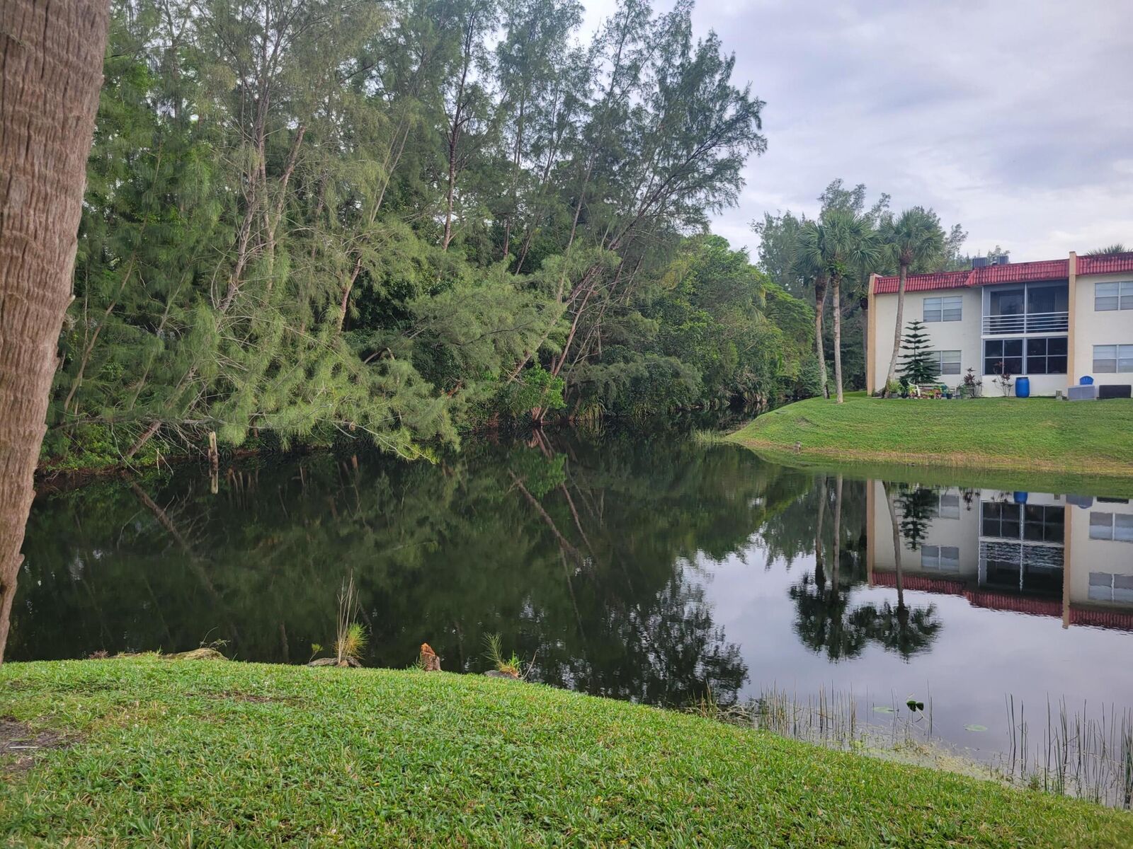 Property Photo: 356 Lake Dora Drive FL 33411