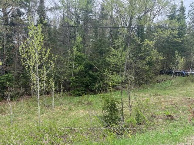 Property Photo:  00 Highway 518 West Highway  ON P0A 1Y0 