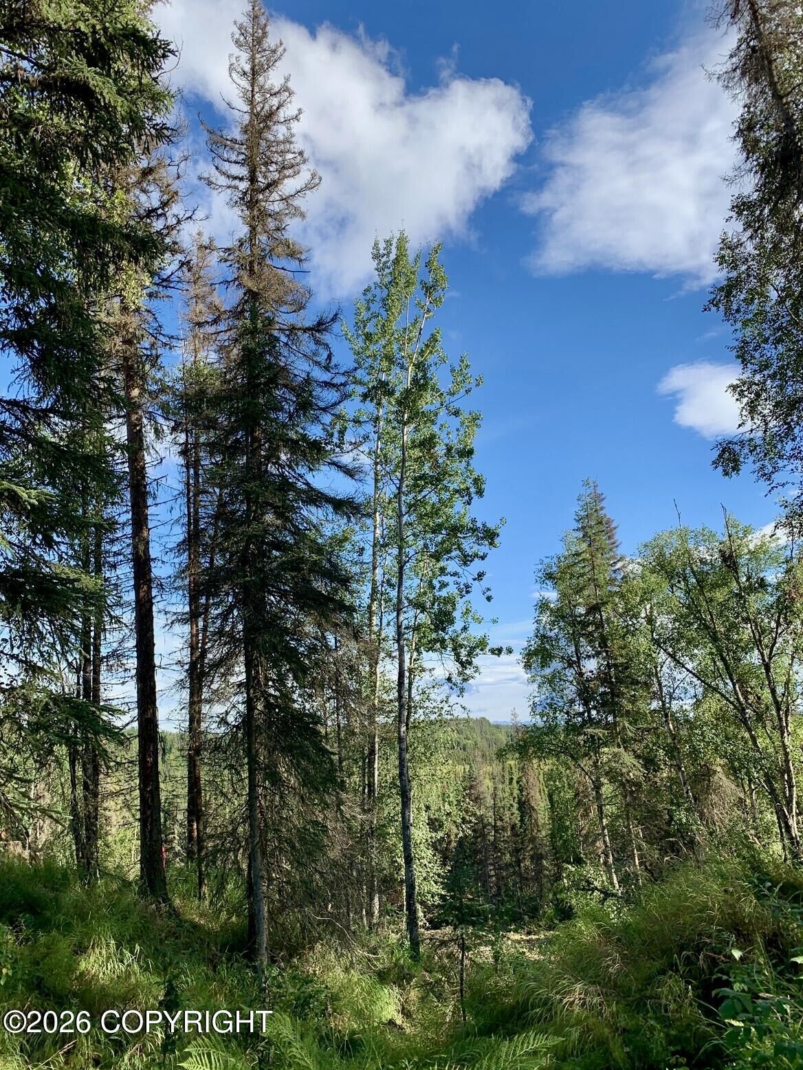 Property Photo:  245 Nevada Street  AK 99611 
